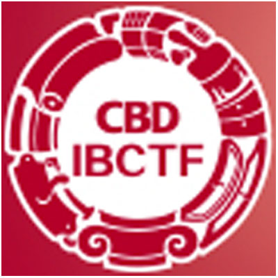 IBCTF Building & Construction logo