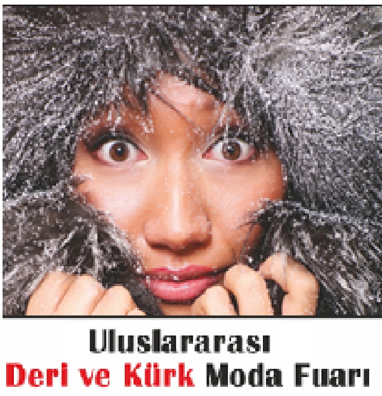 Deri ve Krk logo